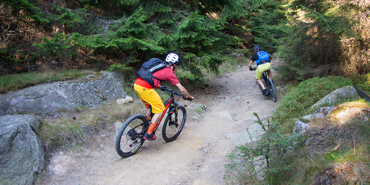 singletrails im harz